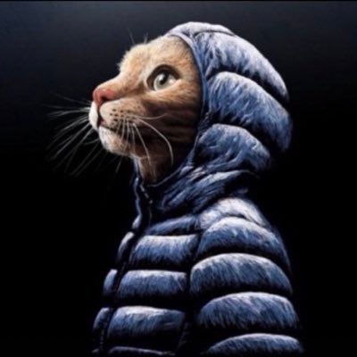 pdvlrsnk (@pdvlrsnk) on Twitter photo 