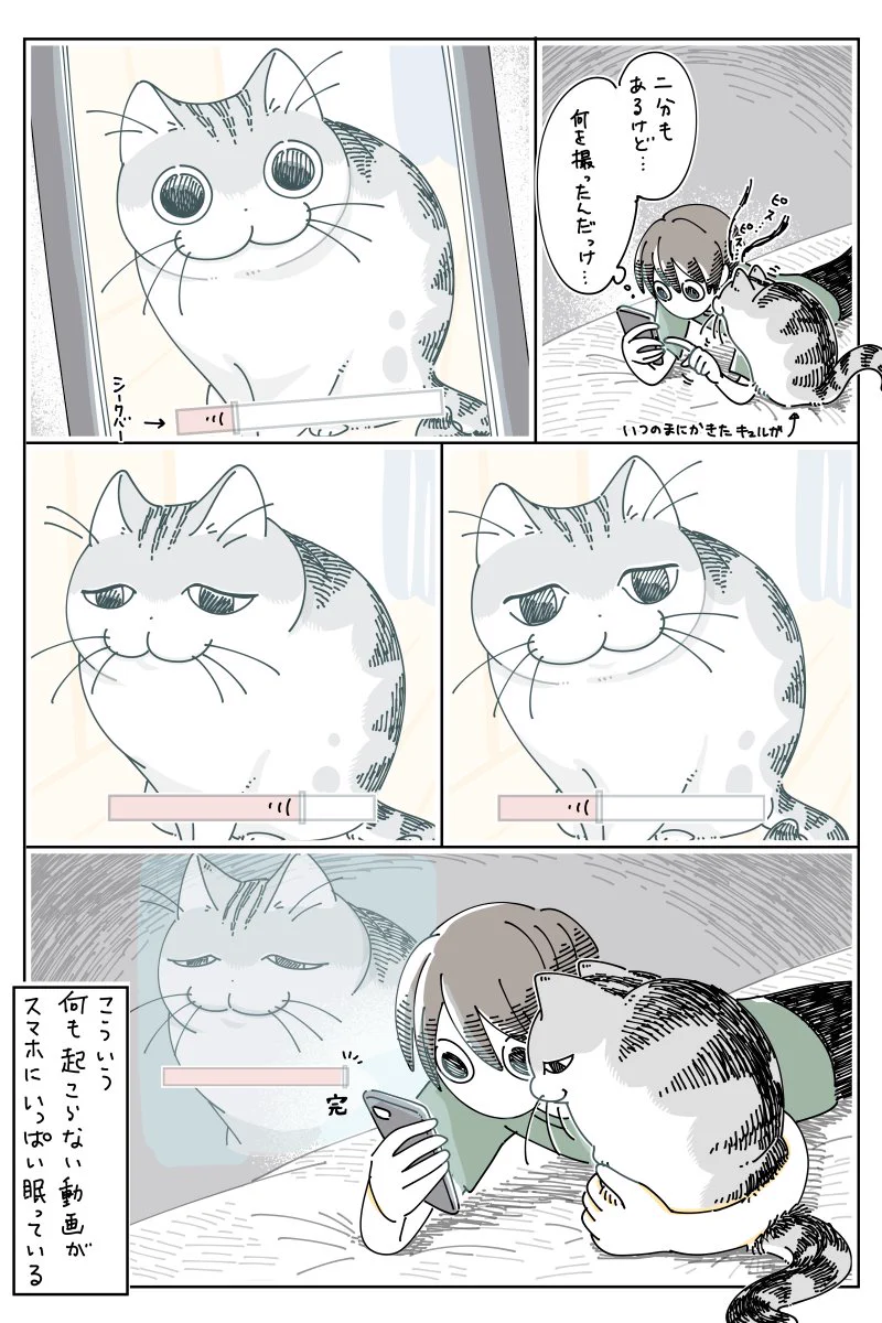 猫を飼っている人は読めば思わず共感しちゃうかも？何を撮りたかったのか分からない動画のお話！