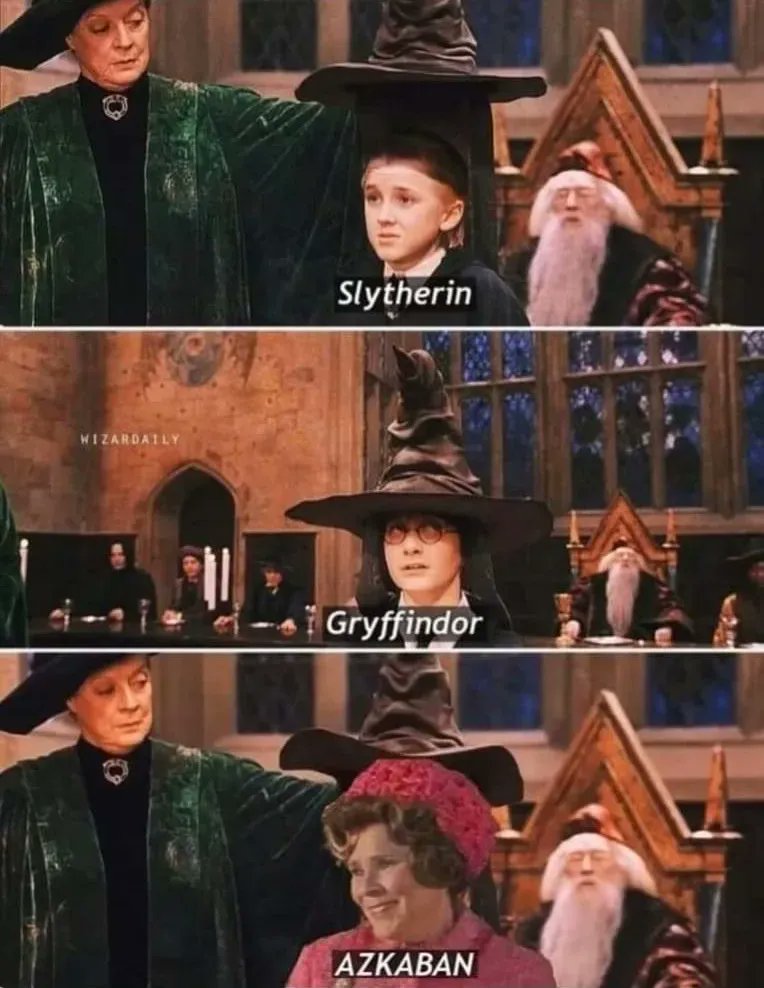 MuggleNet's tweet image. It&apos;s just so accurate. #SortingHat