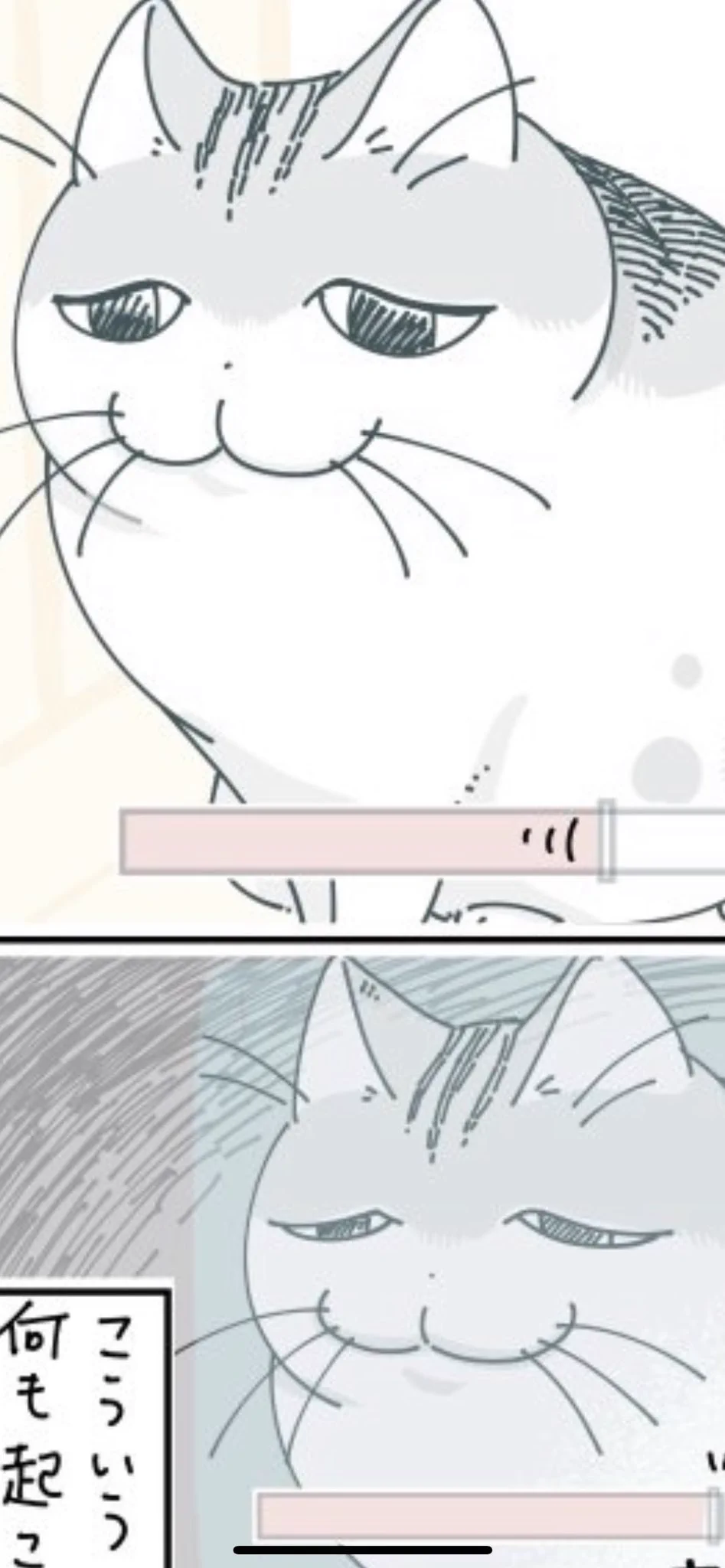 @kyuryuZ 毎回思うけど顔面白すぎるでしょwwwww 