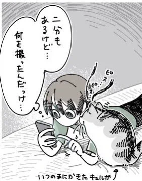 @kyuryuZ いつのまにかきたキュルガがかわいい。
しかもピスピス言ってる…。 