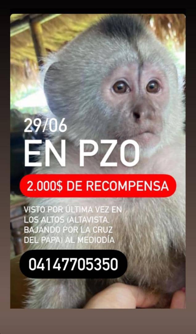 Viste <a href="/DavidComedia/">♚ David Comedia ♚</a> ahora Carlos Javier está cotizado 🥲🫢