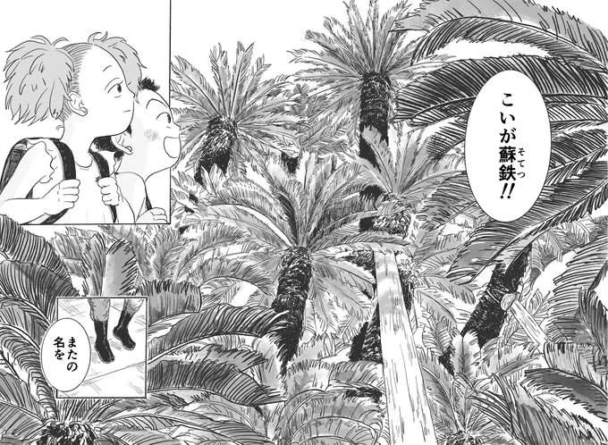 【Edit Works】メグマイルランド先生@megumireland の新連載「棕櫚の木の下で」を担当させていただきました!平成初期の佐賀を舞台にした漫画です。小学生のソテツ君は、他者と出会い自分たちを取り巻く世界の様々なことを知ってゆきます。ここで読めます。→https://shuro.world/episode/1734/