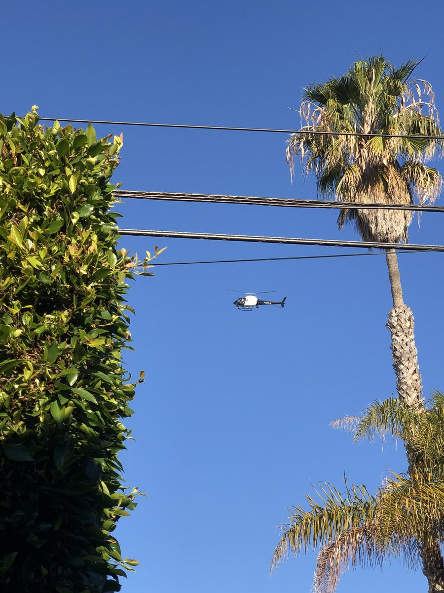 MikeyPiro tweet media