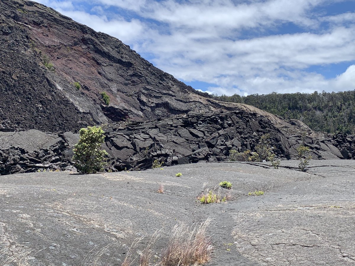STEM Shenanigans (@shenanigansstem) on Twitter photo Thanks to #STEAMinthePARK and @dacia92 and <a href="/Volcanoes_NPS/">Hawaii Volcanoes NPS</a>, I had the experience of walking across the crater of a volcano! This is the best professional learning adventure ever! Check out Expeditions in Education to find your PLA!! <a href="/DCSDSTEM/">DCSDSTEM</a> <a href="/AustinElemDCSD/">Austin Elementary</a> Thanks to #STEAMinthePARK and @dacia92 and <a href="/Volcanoes_NPS/">Hawaii Volcanoes NPS</a>, I had the experience of walking across the crater of a volcano! This is the best professional learning adventure ever! Check out Expeditions in Education to find your PLA!! <a href="/DCSDSTEM/">DCSDSTEM</a> <a href="/AustinElemDCSD/">Austin Elementary</a>