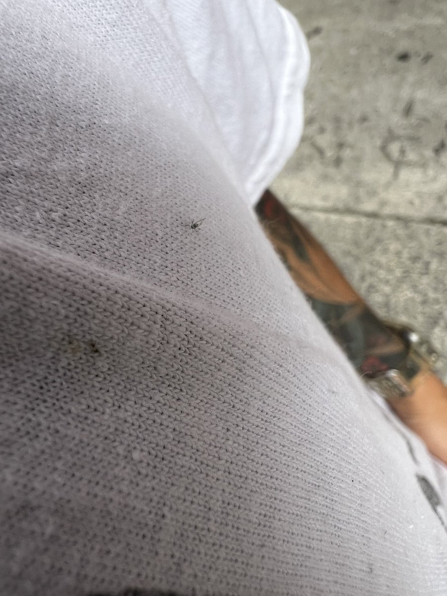 MarkLaShark tweet media