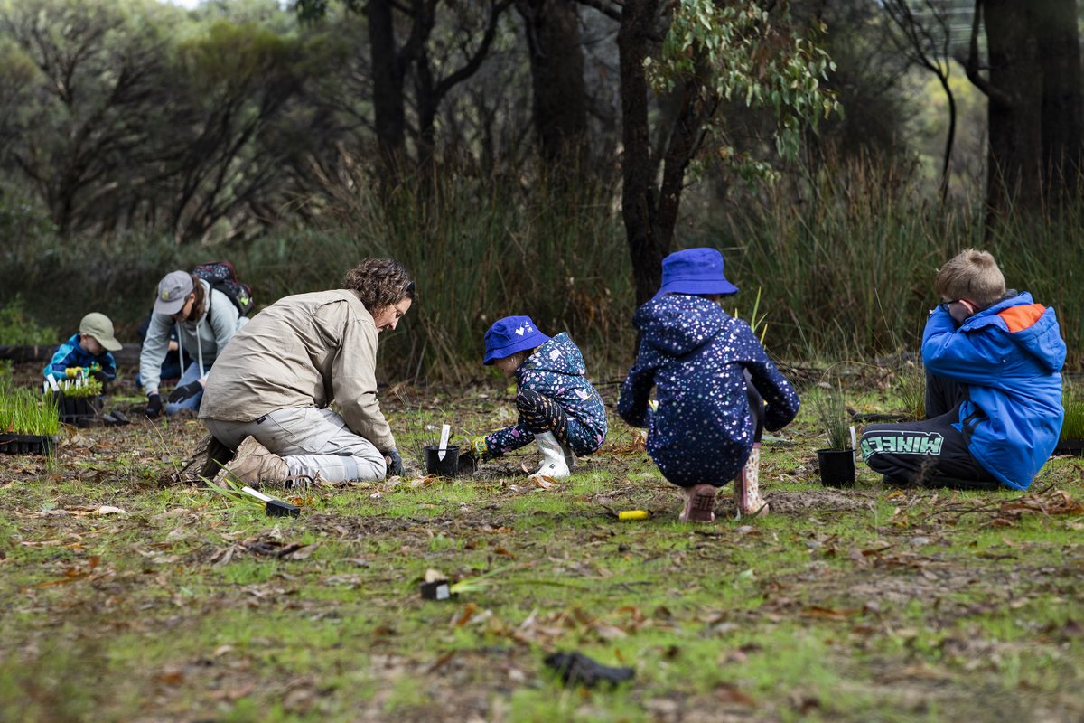 Volunteers, including <a href="/Alcoa/">Alcoa</a> employees, planted over 1,000 seedings and removed weeds and rubbish across Marlee Reserve, near Mandurah. The event was part of the Giants of Mandurah outdoor sculpture project and its associated wetland restoration efforts, which we support!