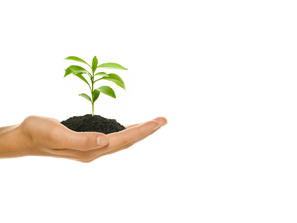 fragmentiert's tweet image. Inspiriert von #Tiniko/@CNikolajew:

Große #Geister erörtern #Ideen. 
Durchschnittliche erörtern #Ereignisse. 
Kleine #Geister erörtern #Menschen.

#Frieden #weltweit.