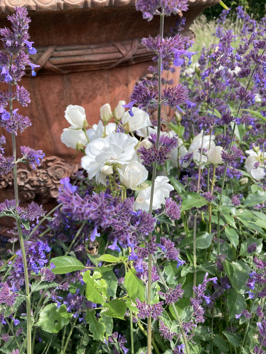 Mrs Routledge tweet media