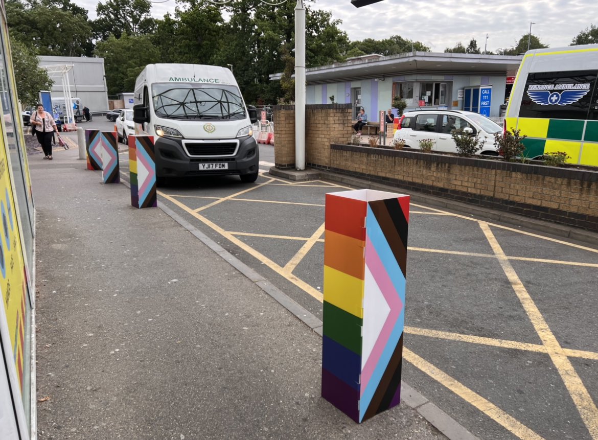 Wow even the bollards at @FrimleyHealth are celebrating that poor marginalised #LGBTQ+ community. 🙄 

#transcult #sexnotgender #TransWomenAreConMen #noprideinpride #pride #trans #LGBWithoutTheT