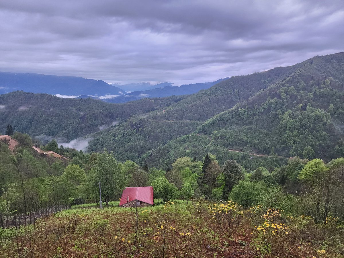 mavrokada's tweet photo. @evrenemeraak Trabzon https://t.co/R5eAt76tE8