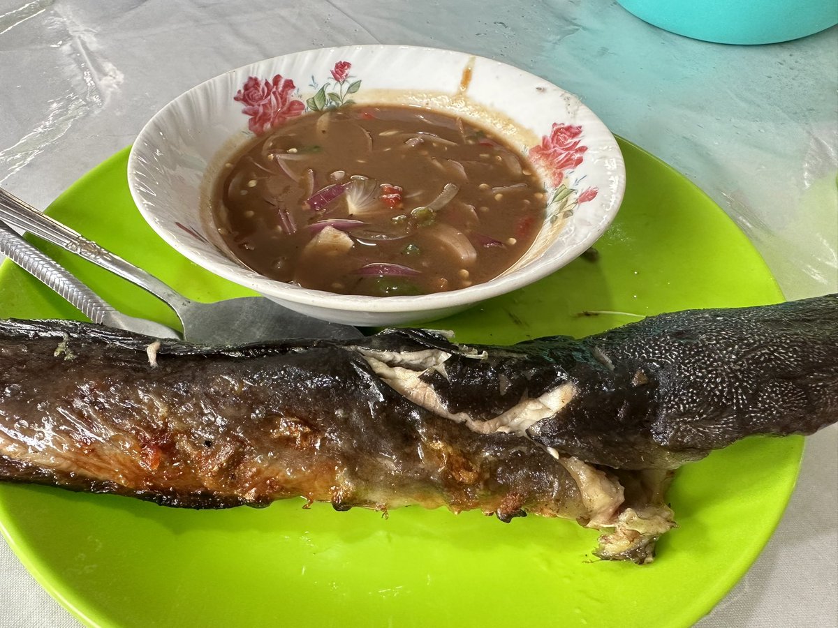 ahmadmaslan's tweet photo. Ikan keli bakar + pencicah istimewa di kws Banjar kpg saya di Lubok Sipat #Benut #Pontian. Hadir #rewang kenduri kahwin Sdra Abas. Salam bahagia utk pengantin. Salam ceria utk semua org kpg yg sentiasa bersama saya. Tkasih. Tkasih. Tkasih https://t.co/f4ixeKbxMj