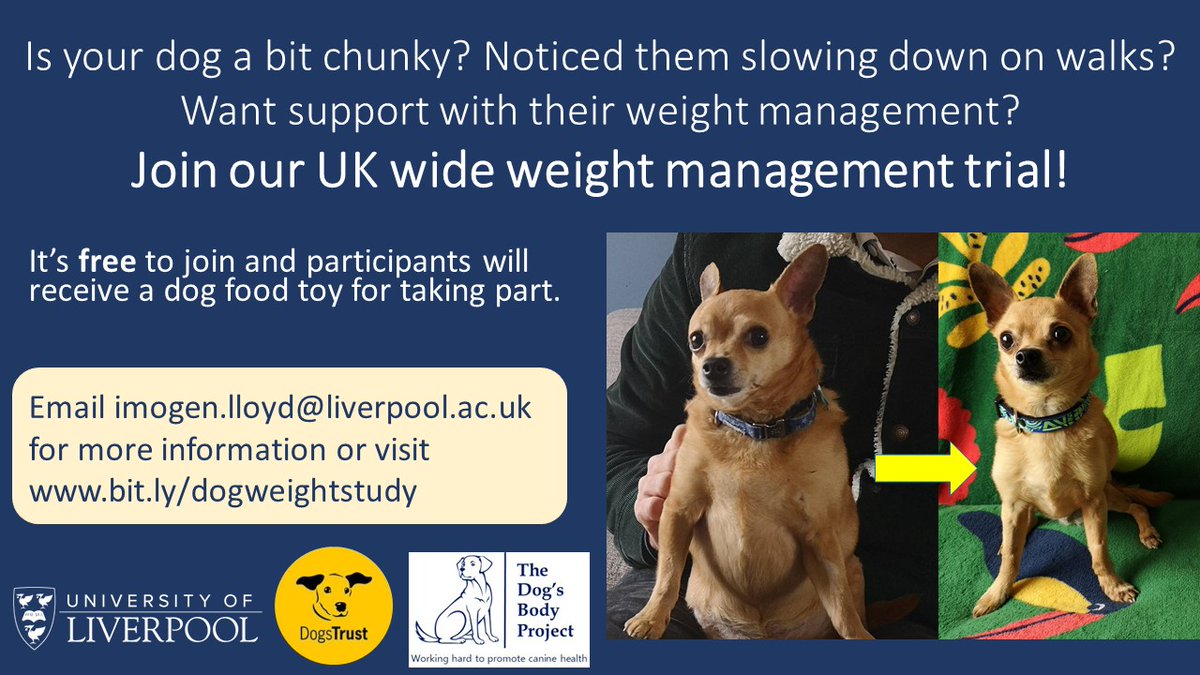 Westgarth Anthrozoology Group (@waglabliv) on Twitter photo Want some help managing your dog’s weight? Join our UK wide study and trial a new free weight management guide for dog owners, developed by specialists and researchers at the University of Liverpool. Email imogen.lloyd@liverpool.ac.uk or visit bit.ly/dogweightstudy Want some help managing your dog’s weight? Join our UK wide study and trial a new free weight management guide for dog owners, developed by specialists and researchers at the University of Liverpool. Email imogen.lloyd@liverpool.ac.uk or visit bit.ly/dogweightstudy