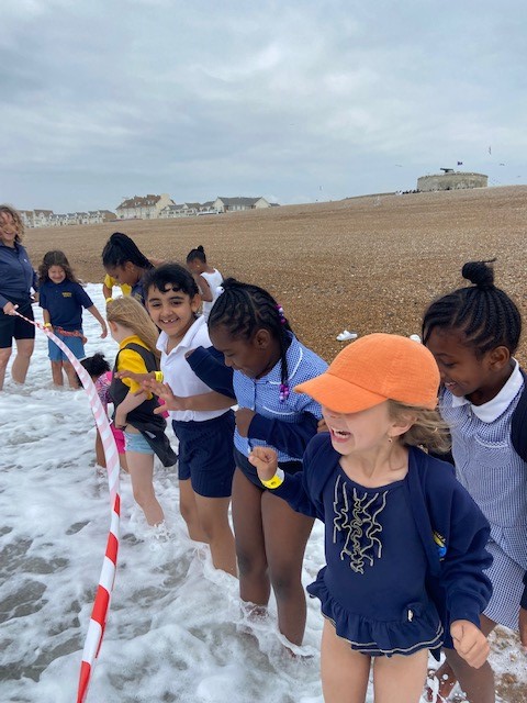 Sunnyhill Primary tweet media