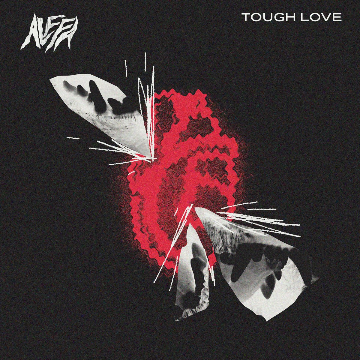 TOUGH LOVE ALLAN HEDDIW / OUT NOW🖤