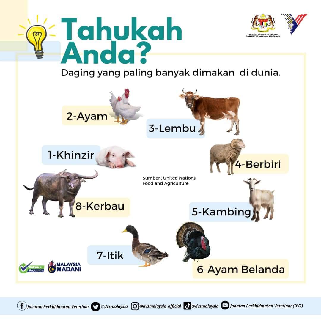 Tahukah anda daging yang paling banyak dimakan di dunia? 

#cukupdanterjamin #dvskitapunya #MalaysiaMadani #dvsawesome #dvsmalaysia