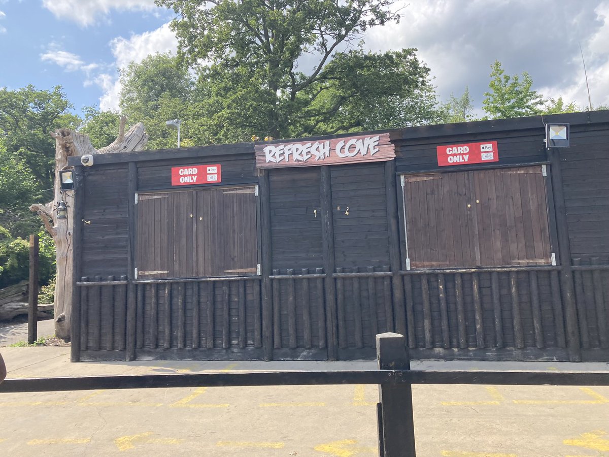 Megan Jarrett 🌸 tweet media