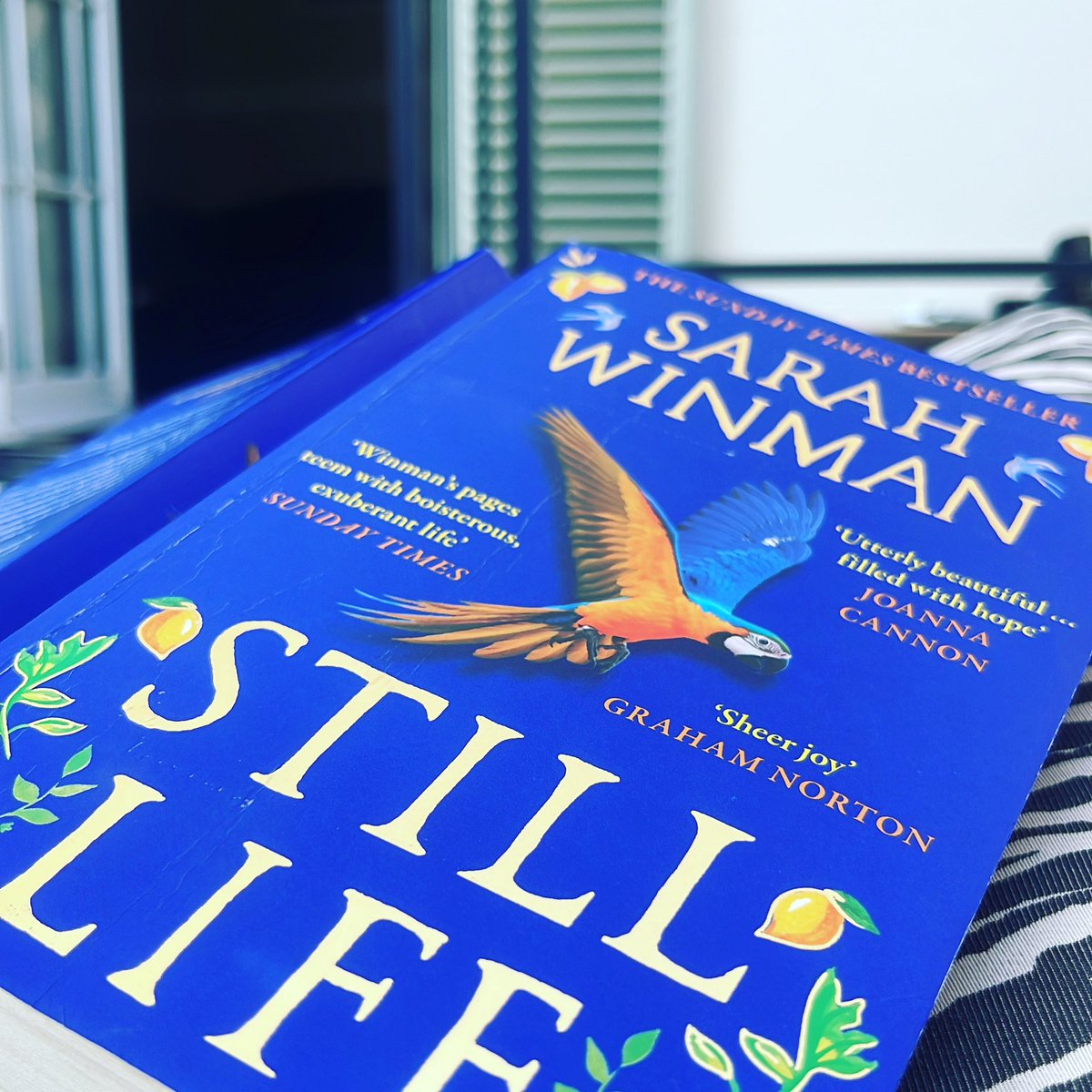 Making the most of the last chapter of #stilllife #sarahwinman I’ve even made an Italian espresso to complement it. I don’t want it to end. And what do I read next?