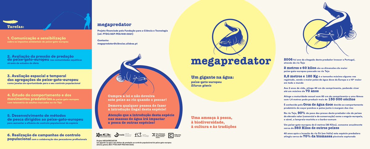 FishInvasionLab's tweet image. We here to continue our work on #megapredator! Check out our leaflet (sorry in Portuguese only)! Our #megapredator project is supported by FCT and lead by @MARE_centre  @FC_UL , with @CE3CResearch  and #ESAS from @IPSantarem