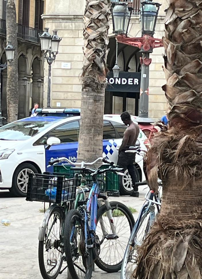 Aquest matí a la Plaça Reial. Barcelona, Catalunya 
👇