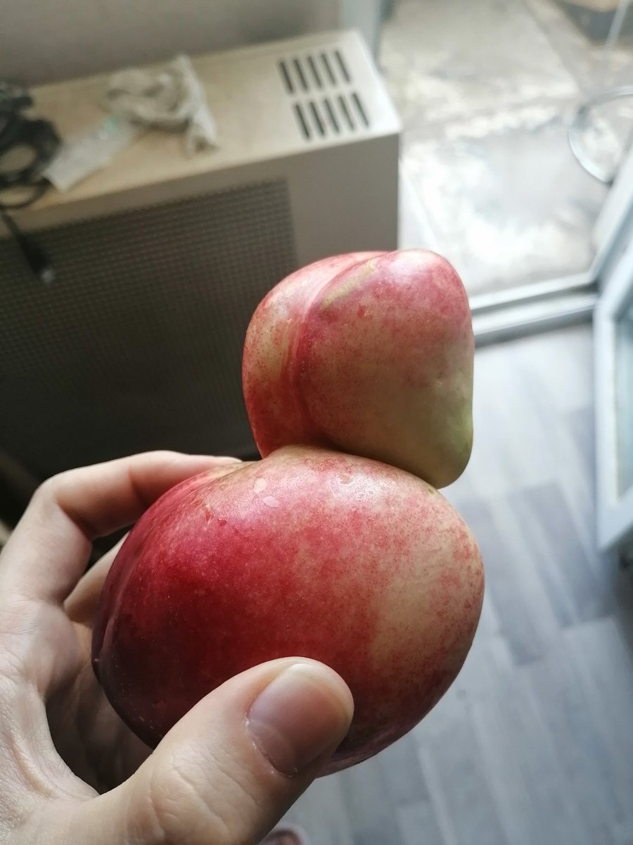 полупидорский праздник мести 🩷💜💙 tweet media