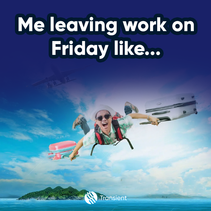 Transient | Home of Splash! tweet media