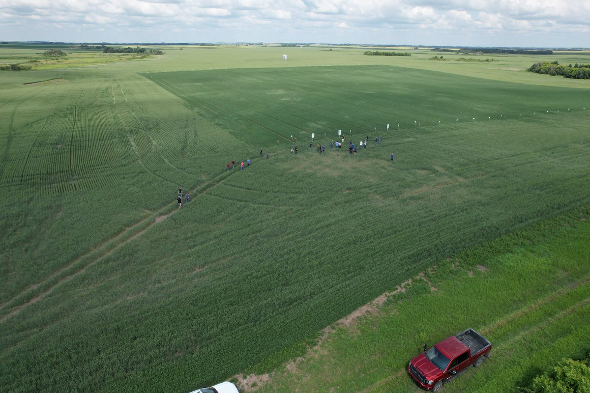 Zachary McLane tweet media