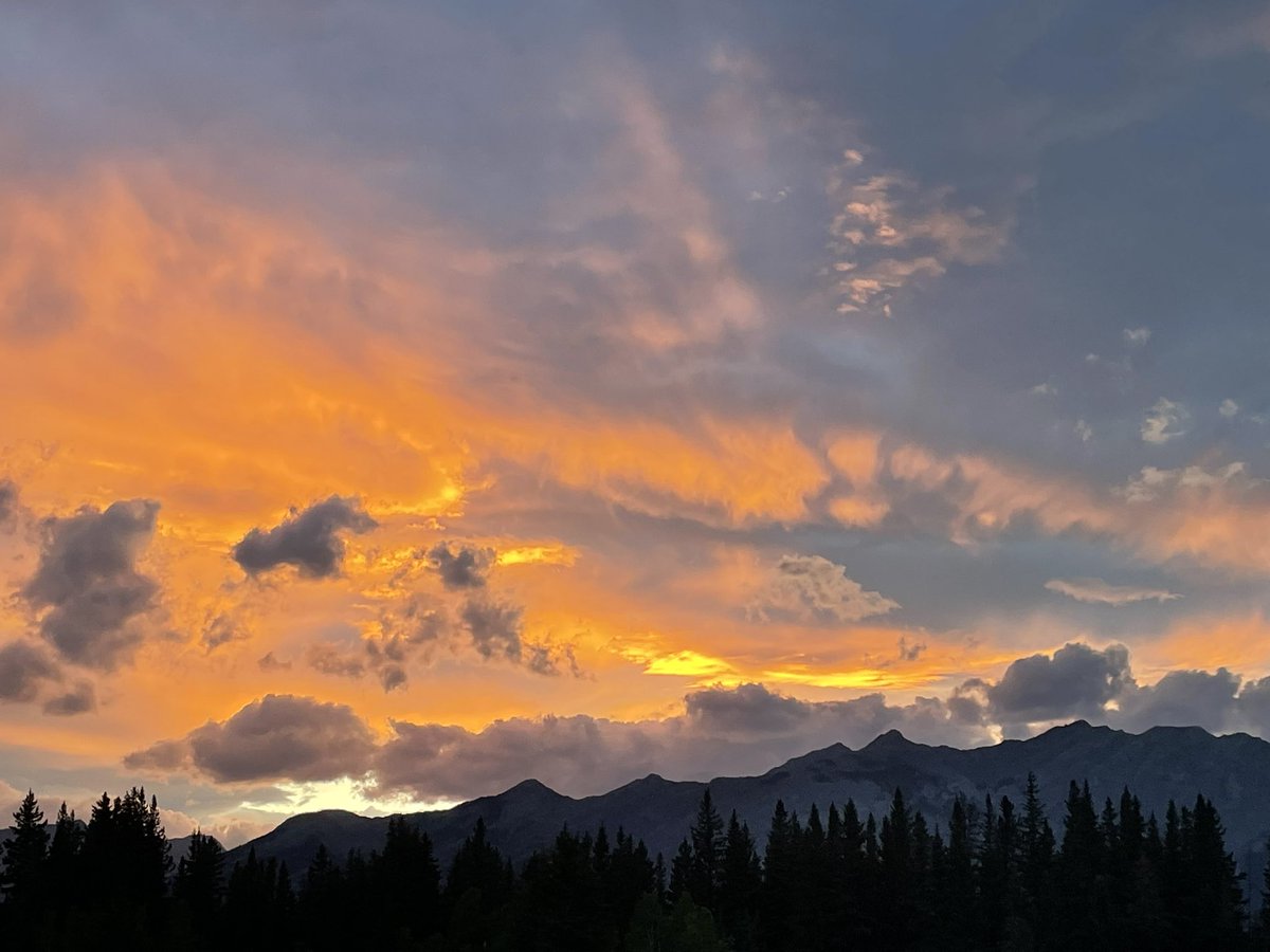 HoboOfHyrule tweet media