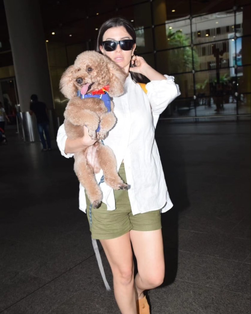 bollywood_couch's tweet photo. Giorgia Andriani clicked at the Airport ✈️

@giorgiaandriani 

Follow 👉 @bollywoodcouch for more #BollywoodUpdates 

#bollywoodcouch

#giorgiaandrianihot #giorgiaandrianifan #rubinadilaik #niasharma #hotgirlsofig #hotgirlsonly #hotbollywood https://t.co/feaOb33gPS