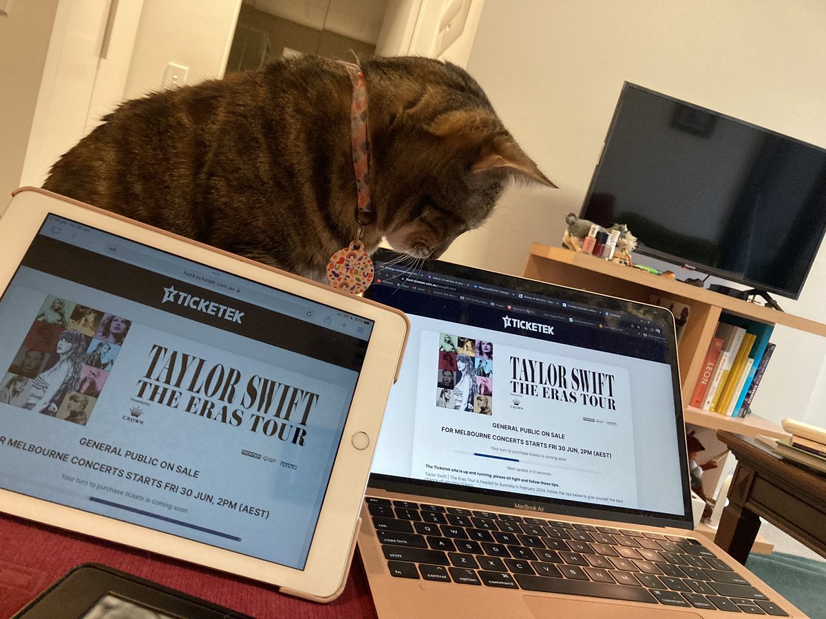 SaraNeedsHandle's tweet photo. Think I underestimated how much Butter wants tickets #TaylorSwiftErasTour #ticketek https://t.co/uGn8gk4uxh