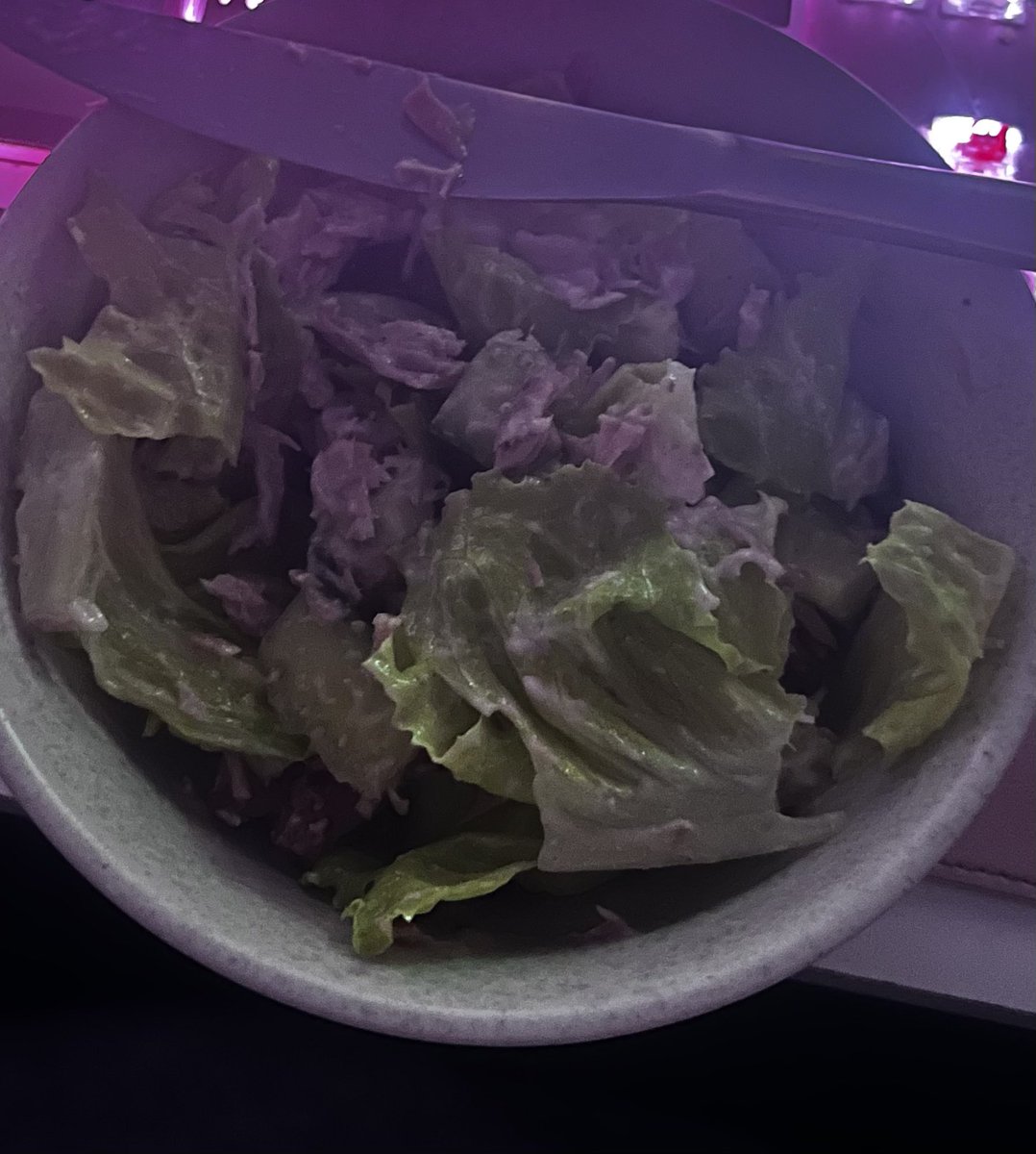 tcffied's tweet photo. 29/06/22 - total ~711kcal
strawberry &amp; cream eclair (>255kcal)
lemon cheesecake (~260kcal)
salad w/chicken (192kcal) 
a lot more than i thought. gonna start cutting out sweet stuff, it’s just hard w family pressure https://t.co/L1rp7EV7MG