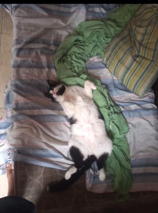 fiukx1's tweet photo. Filho, hoje faz três anos que você partiu, que você foi morar com papai do céu. E justo hoje, eu estou sofrendo como nunca, querendo você de volta para me curar dessa tristeza. Que Deus te guarde sempre até chegar a minha hora. https://t.co/munZkbmZWK