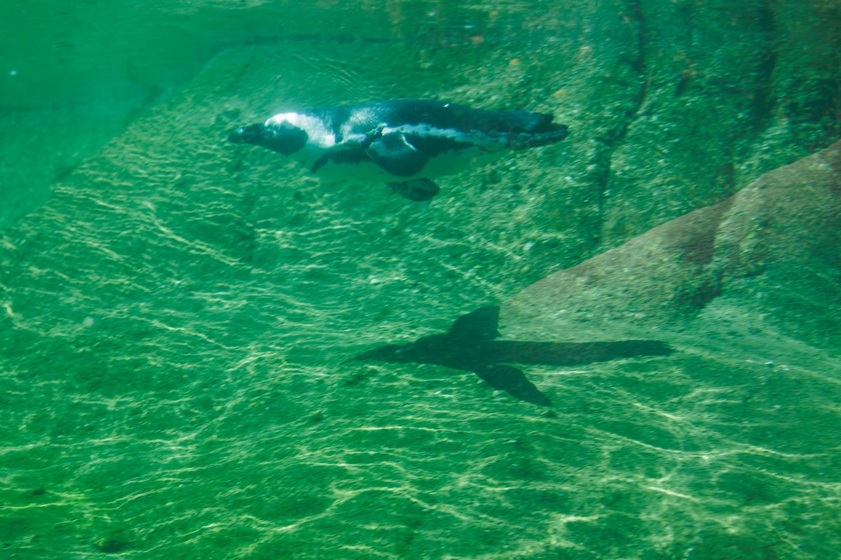 WeeklyPic-Monatsbild 06/2023 zum Thema Schatten
melian-fotografie.de