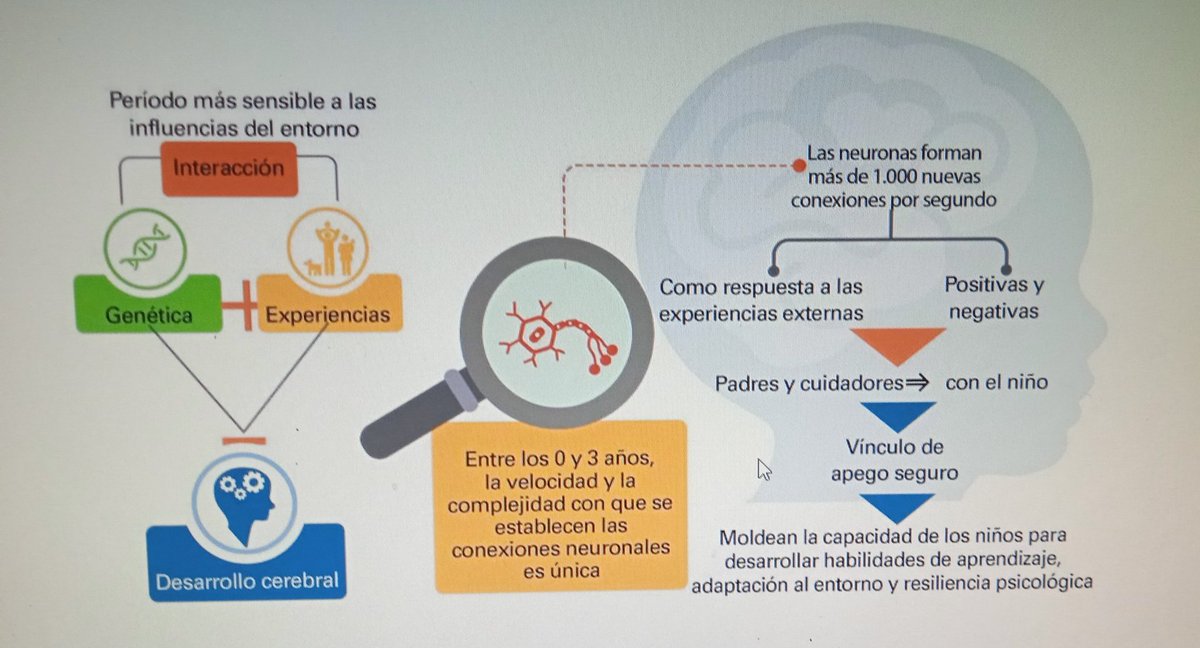 Marinayajaira1's tweet photo. #Junio #Senifa participa en  Curso de Cuidados para el Desarrollo Infantil UNICEF @MPPEDUCACION  Enfoque Multisectorial para el servicio de atención integral a niñas y niños @NicolasMaduro 🤱🤰👪👶 @delcyrodriguezv @_LaAvanzadora @cdcelaguaira @ViceIP @gtorodelara https://t.co/F4j4JFrs3c