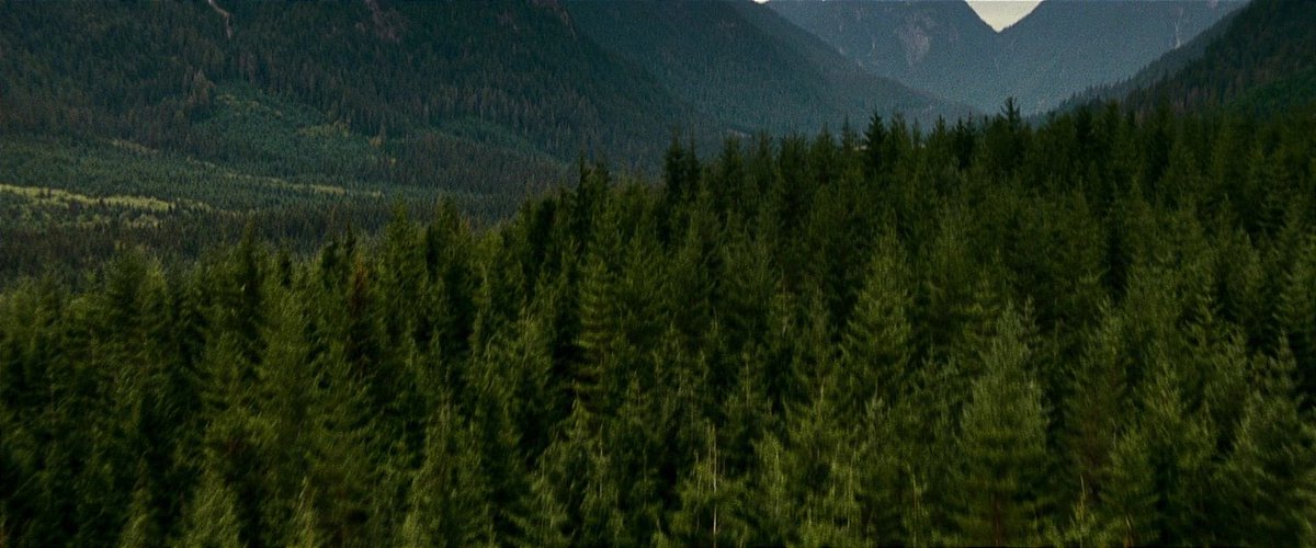 screenscaps's tweet photo. the twilight saga: eclipse (2010) https://t.co/CLN8oaV3oN