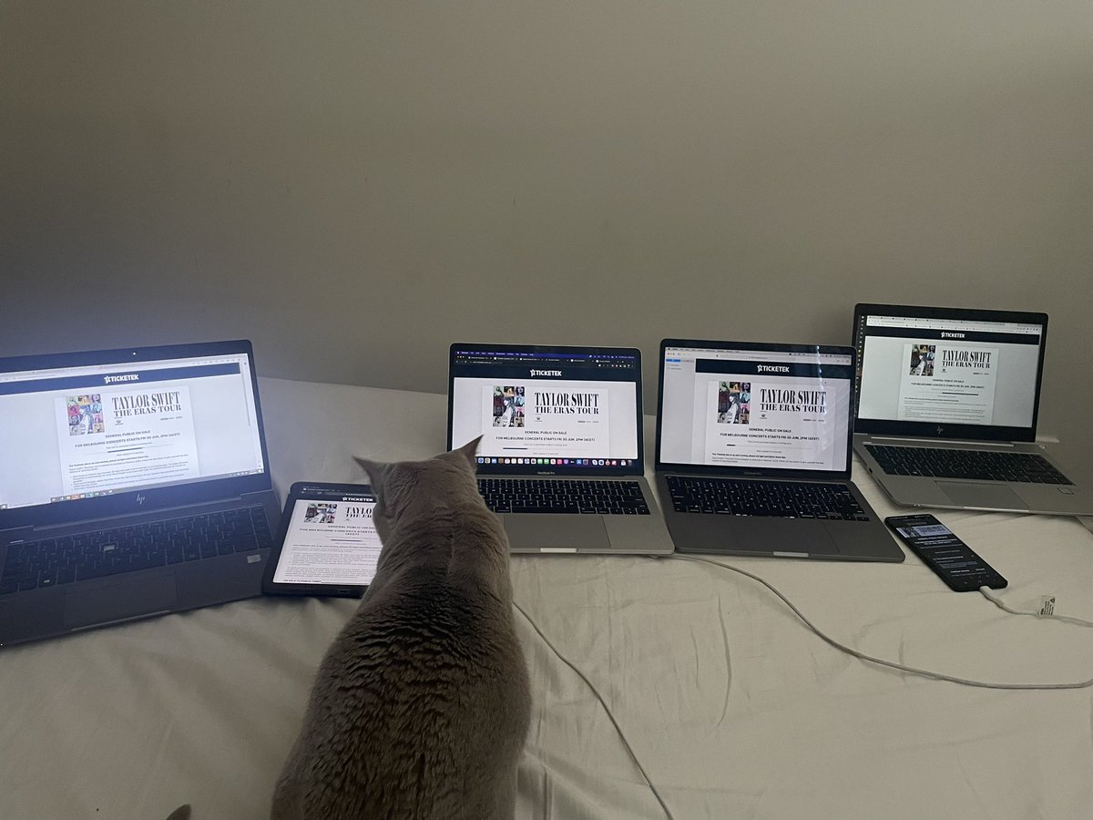 janeoakley's tweet photo. Also Luna https://t.co/PMJLn9LZI7