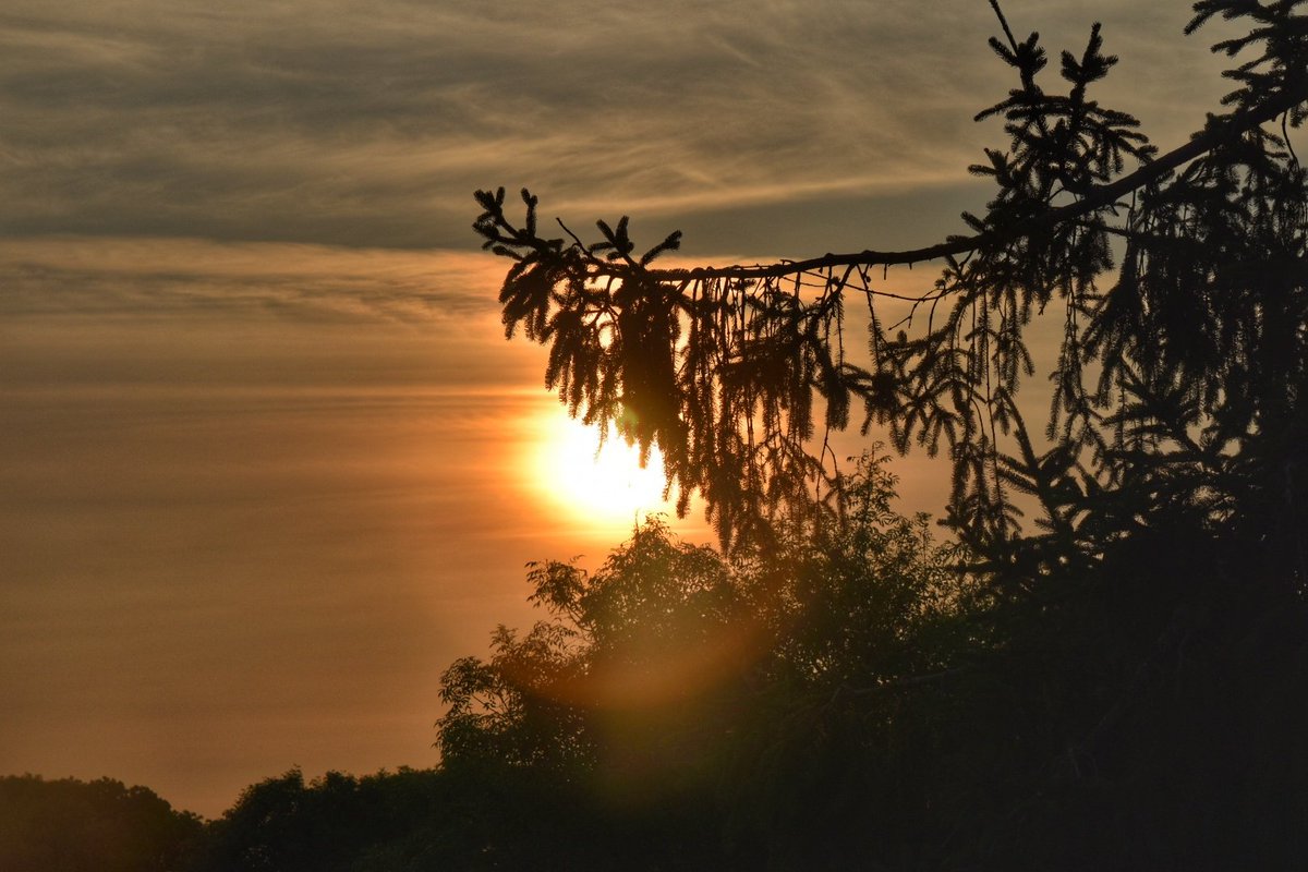 Hello Sunny morning 🌄 😎 

#loveukweather #capturingbritain_nature @itvlondon @metoffice @SallyWeather 
@surreylive