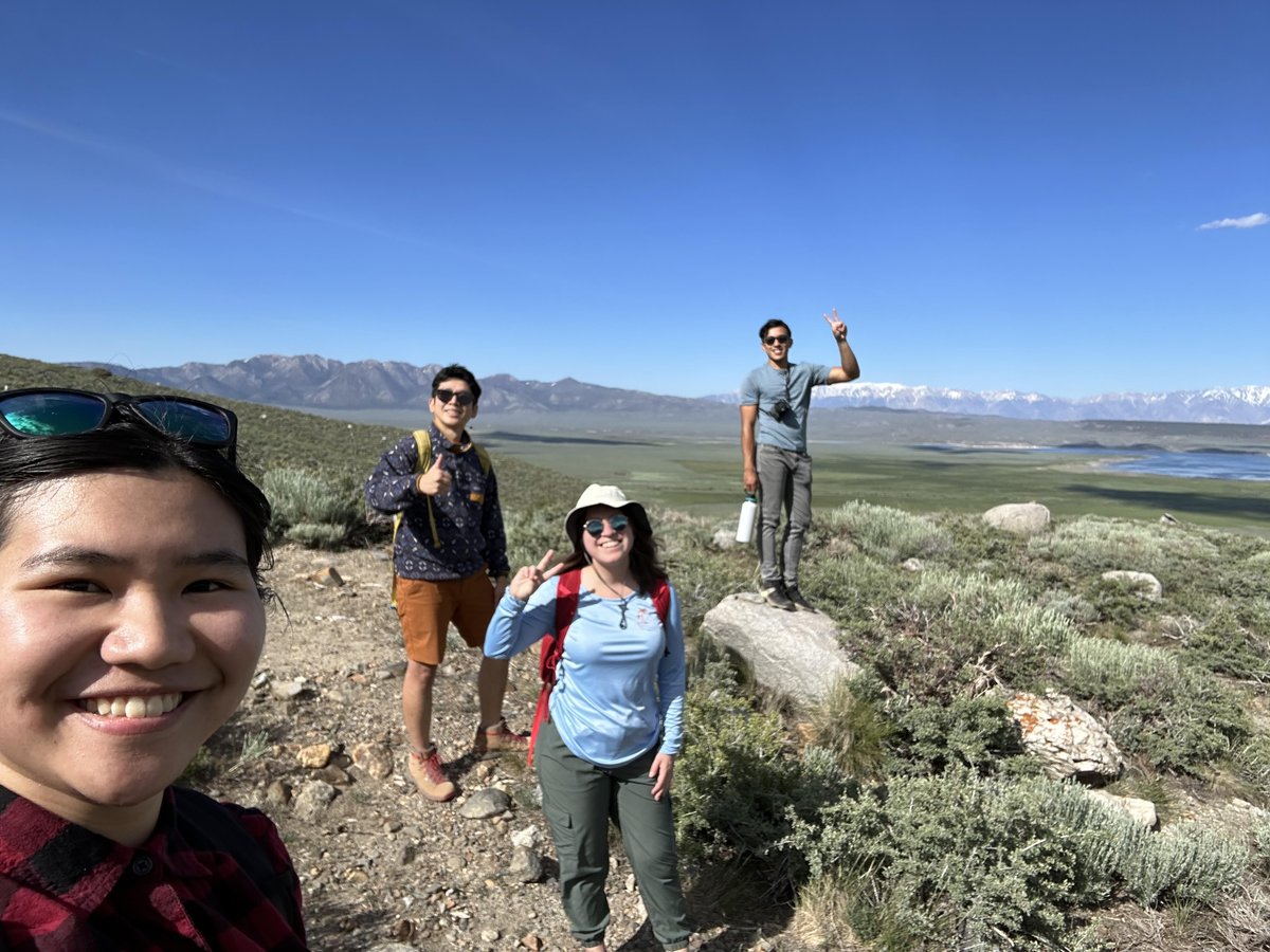 Rachel So tweet media