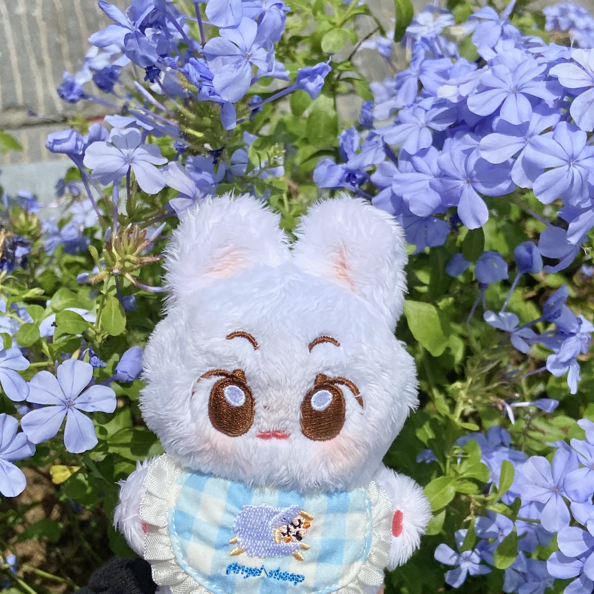 ⌯'ᵕ'⌯ 예예빈이랑 같이 산책할래용?
