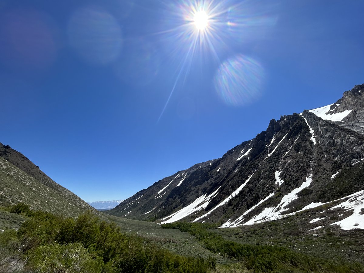 Rachel So tweet media