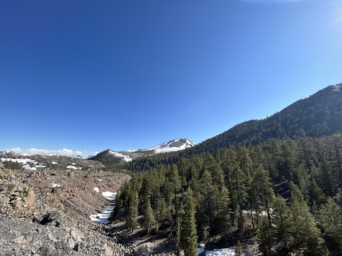 Rachel So tweet media