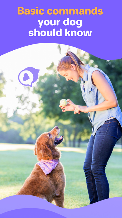 Dog Pal tweet media