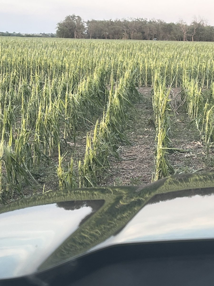 NC KS got the wind and hail, not a huge area but I’ve heard it wasn’t just us. Many down trees, broken windows, battered houses etc
