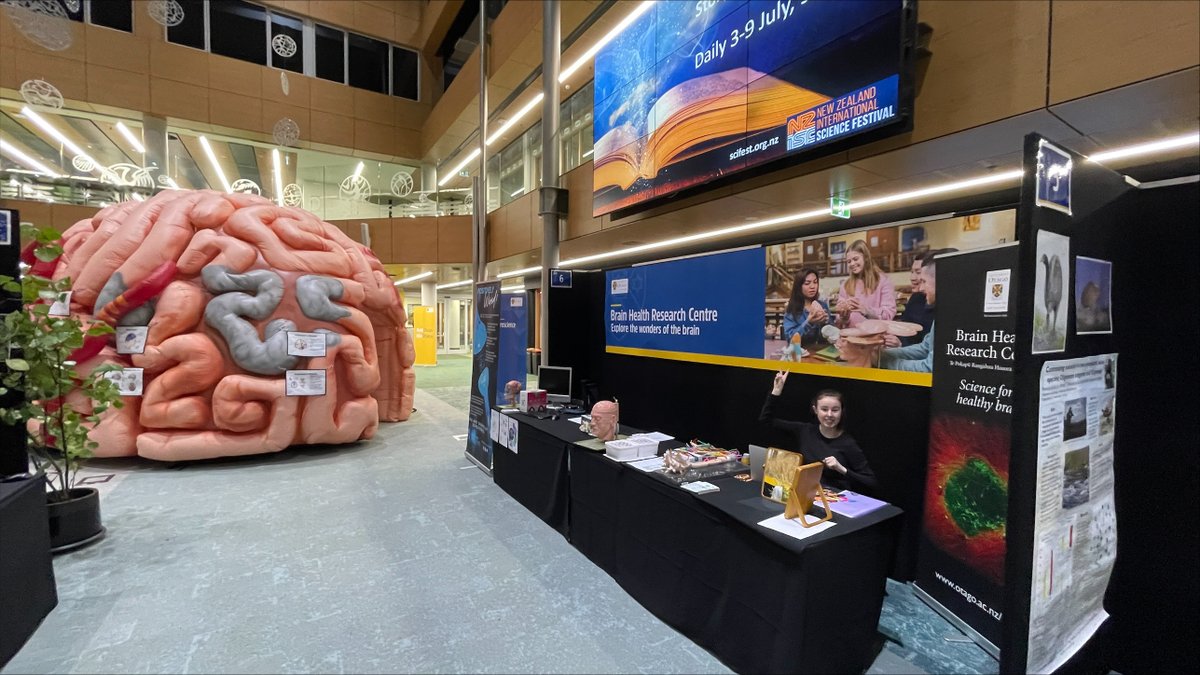Brains_NZ's tweet photo. In Dunedin this weekend and looking for a way to kick off the school holidays? Head into the University Business School and visit us at the @NZSciFest  @otago Science Expo. Saturday 10-4 and Sunday 10-2! Here is a sneak preview of our booth... https://t.co/w2NeXlxnFx