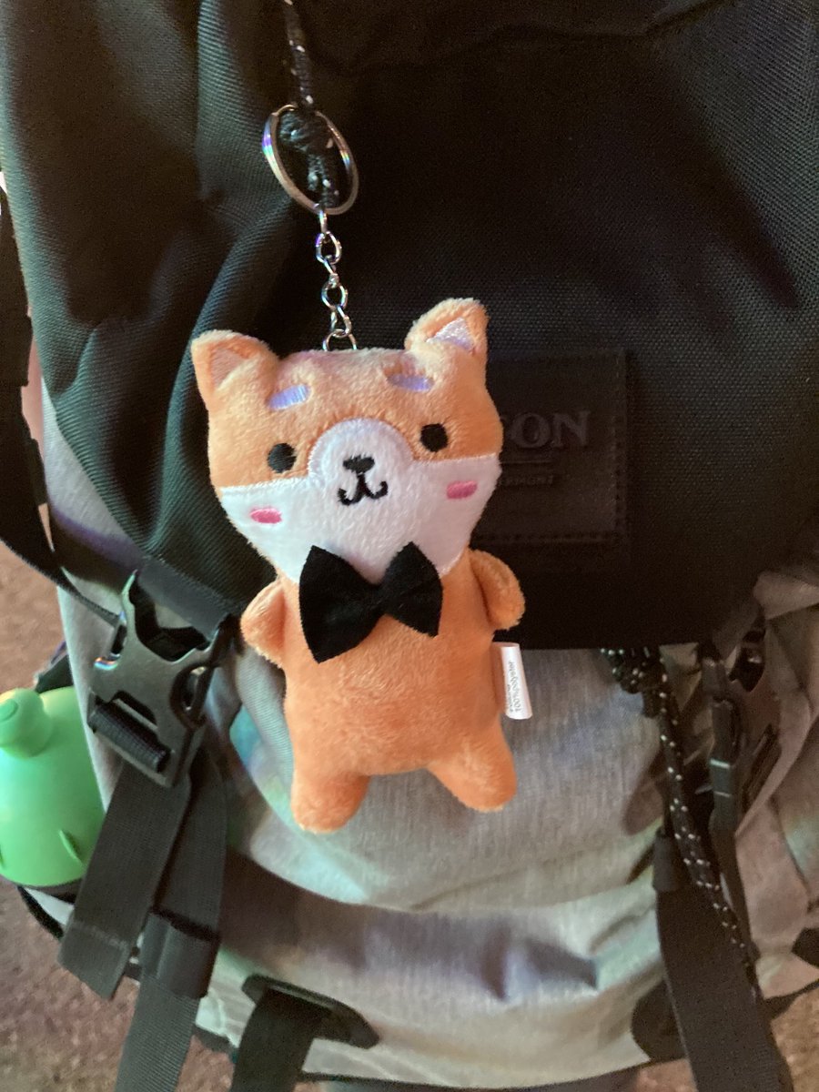 GMayerlab tweet media