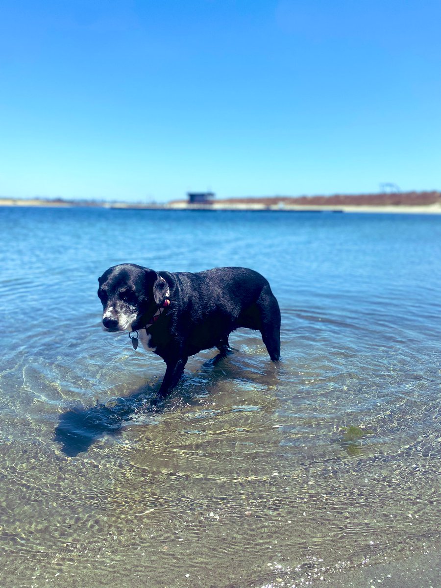 corycasey tweet media