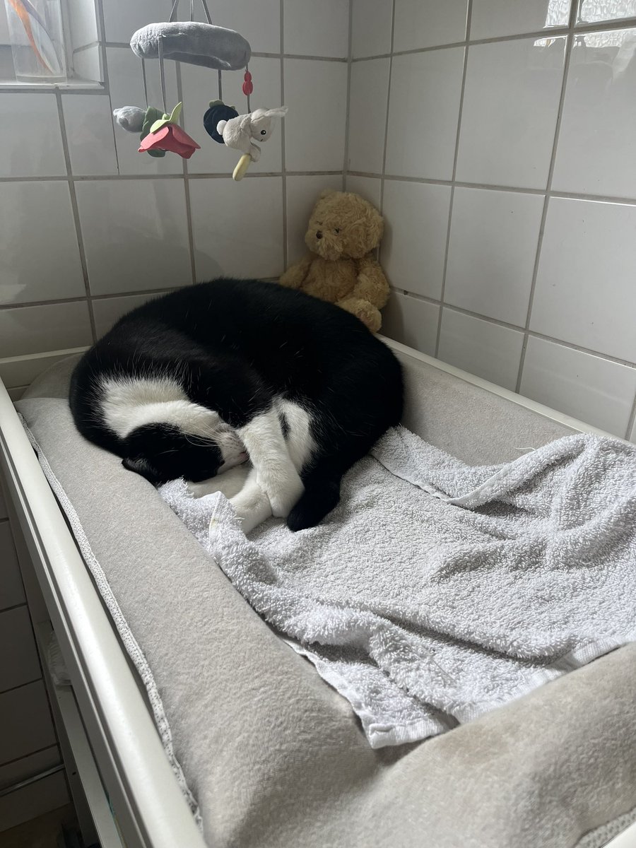 Massivt Strul tweet media