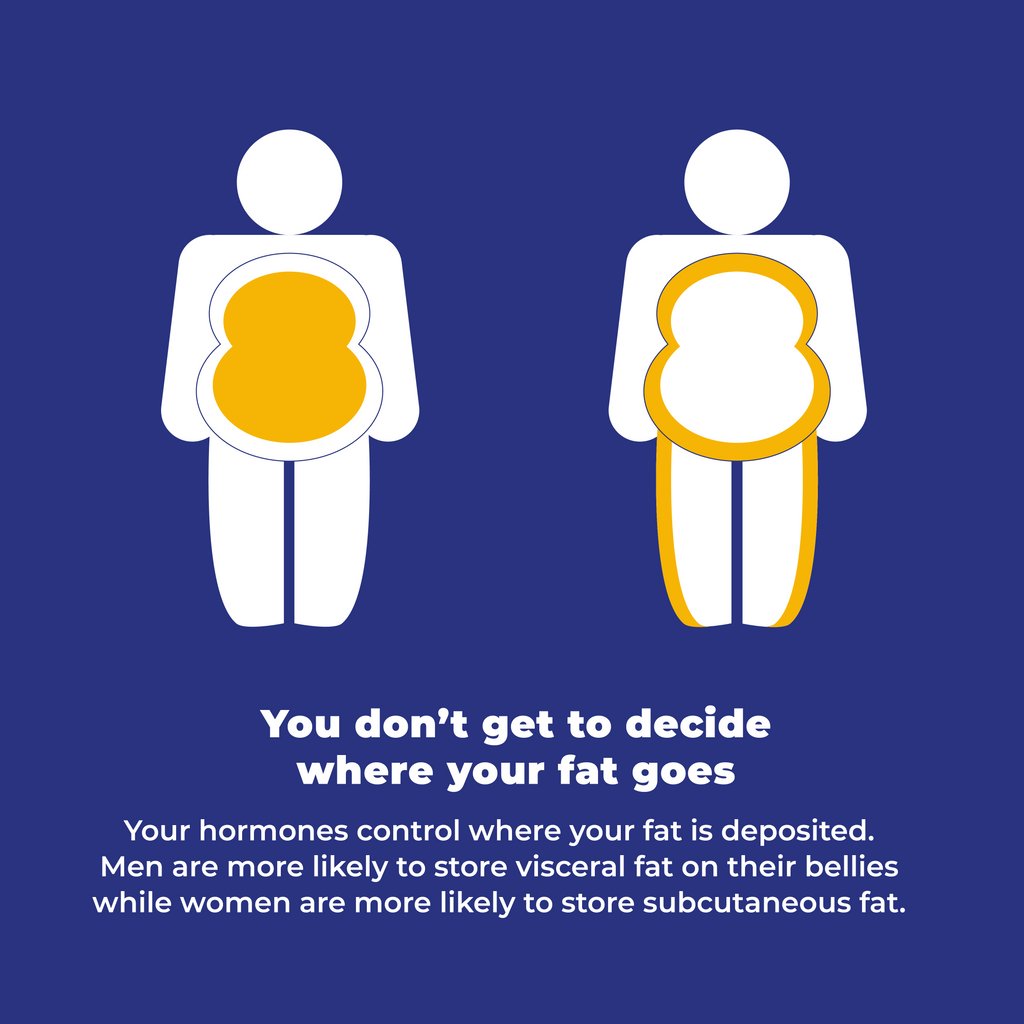 FatLadAtTheBack's tweet photo. There's different types of fat? 🤔 Turns out different types of fat do different things in the body and some types are more dangerous that others.
Did you know this? See our website to find more info on obesity.
#fatladattheback #visceralfat #fat #obese #obsity #overweight https://t.co/FHVuQK1g88