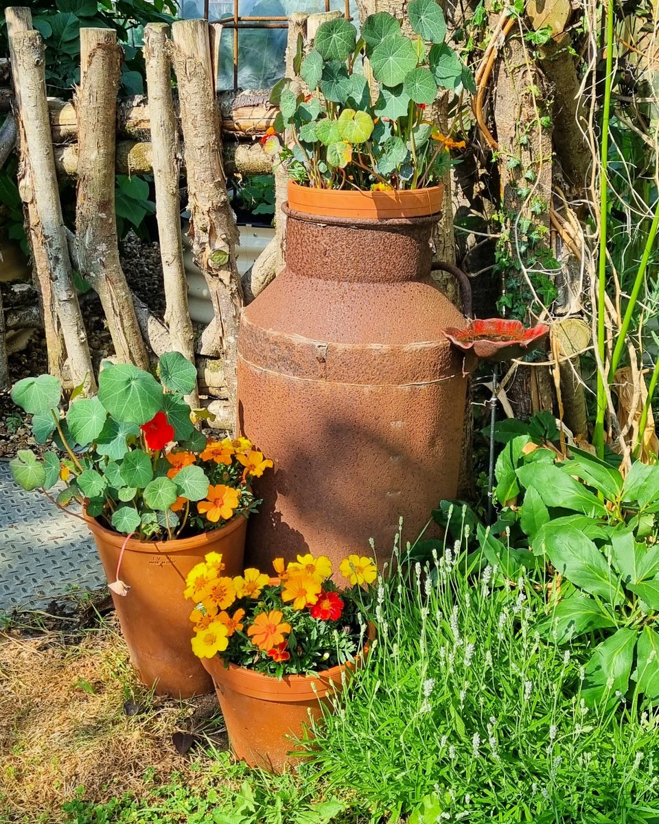 Dalefoot Composts tweet media