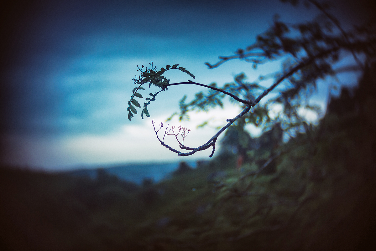 GlavindStrachan's tweet photo. Around #GidleighCommon on #Dartmoor - from a few weeks ago - shot on a cheap £60 camera with a £17 #CCTVlens Spend time getting creative ... not money on kit 😜 https://t.co/Z8Gp7Y6Wxq
